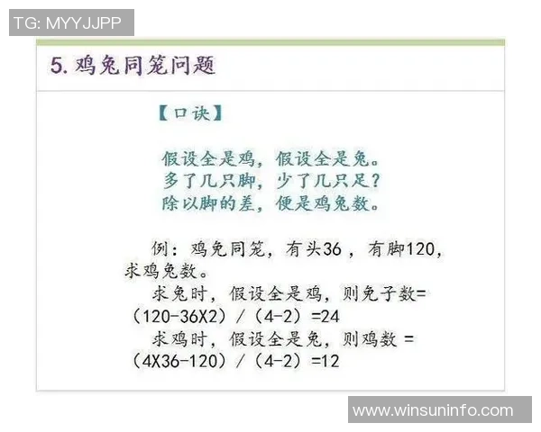 陈军深度解析羽毛球技巧与心得分享助你提升竞技水平